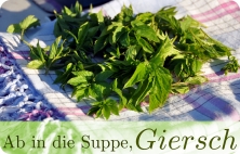 Junge Gierschblätter auf einem Tuch