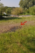 Pumpwerk Altengamme, 11. Juni 2013: Das Hochwasser drückt durch den Leitdamm