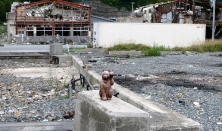 Maneki Neko, die japanische Glückskatze, auf einem Mauerrest --(C) Hidefumi Suzuki