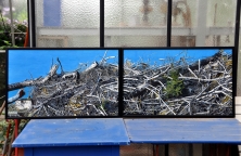Painting Eckart Loer: Holzhaufen (2012)
