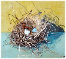 Vogelnest, Eckhart Loer (Buntstift und Gouache, Ausschnitt)