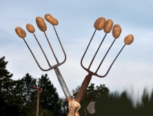 Kartoffeln auf Gabeln aufgespiesst