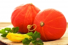 Hokkaido-Kürbisse / Foto: Sannmann/Bosselmann