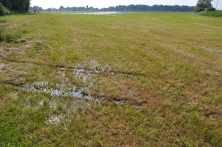 Borghorster Elbwiesen, Qualmwasser