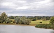 Blick vom Altengammer Elbdeich übers Borghorster Brack in Richtung Norden. Im Hintergrund der Geesthang mit Escheburg.