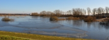 Borghorster Elbwiesen während des Frühjahrshochwassers 2011