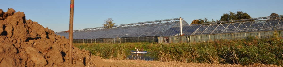 Bei Kanuten und Paddlern beliebt: Der Neuengammer Durchstich bietet wildromantische Anblicke mitten in der Natur. Bei Kanuten und Paddlern beliebt: Der Neuengammer Durchstich bietet wildromantische Anblicke mitten in der Natur.