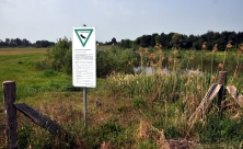Borghorster Elblandschaft; Blick in Richtung Biberburg