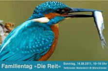 NABU Eisvogel Familientag Beringungsstation NSG Die_Reit