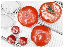 Kleine und große Tomaten Kleine und große Tomaten (CC-BY C.Schomann)